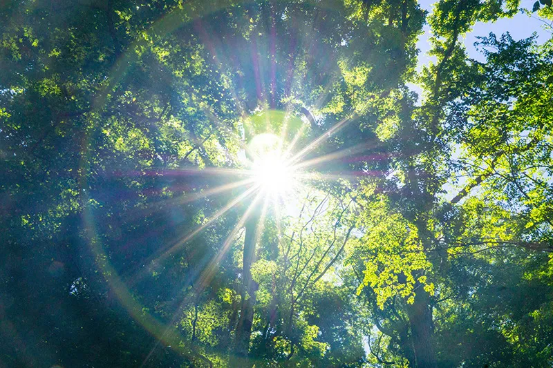 本物の気功師に優る能力の天啓気療ならお子様も女性の方も安心,幼児でも