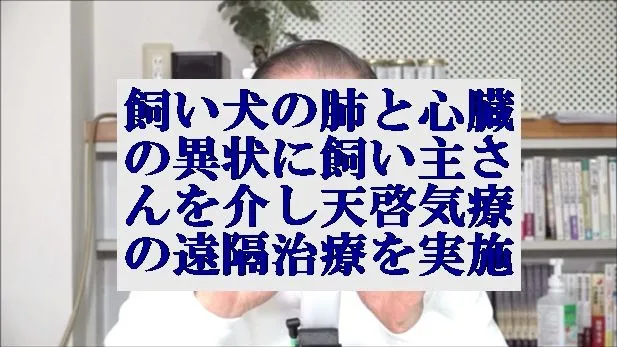 飼い犬の肺と心臓の異状に飼い主さんを介し本物の気功師に優る天啓気療の遠隔治療を実施