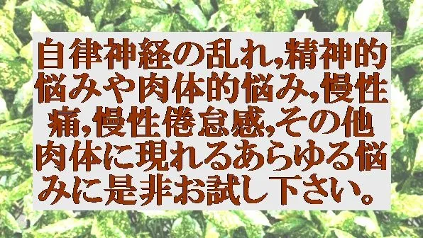 自律神経の乱れ,精神的悩みや肉体的悩み,慢性痛,慢性倦怠感の悩みに是非お試し下さい